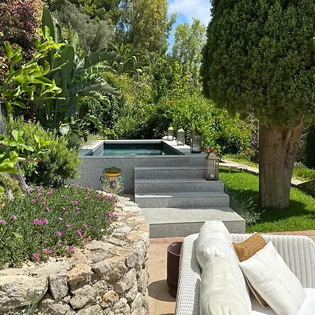 La Grande Bellezza *